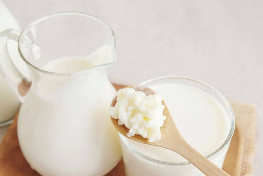 Both kefir and yogurt are excellent sources of probiotics.