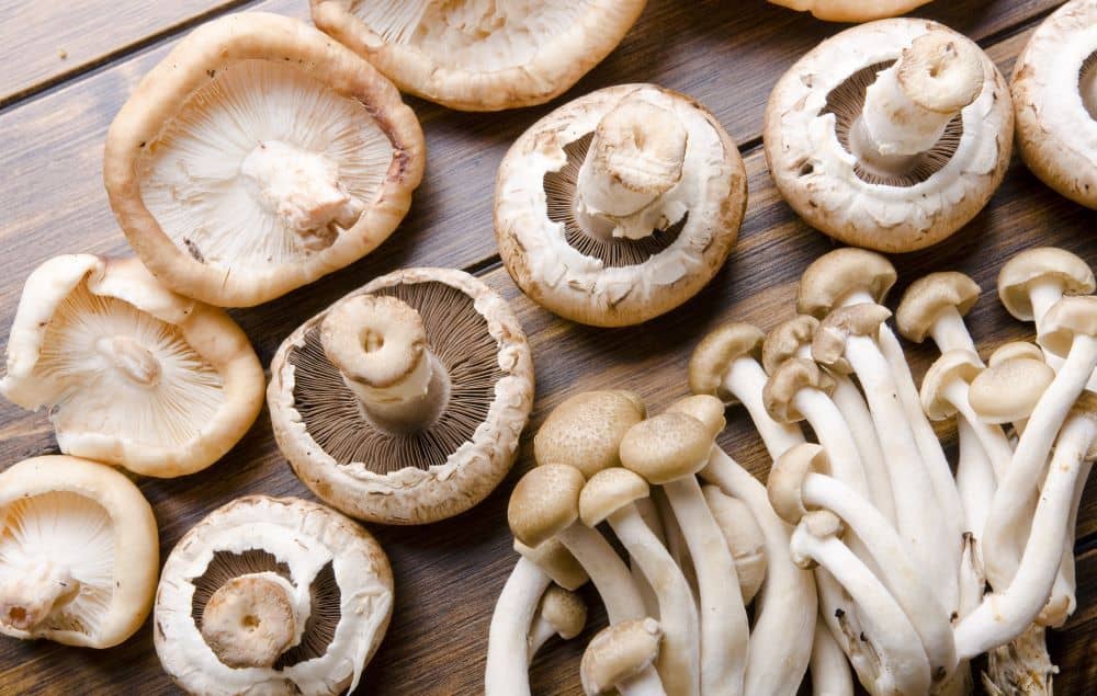 Eating raw or lightly cooked edible mushrooms ensure the highest antioxidant content.