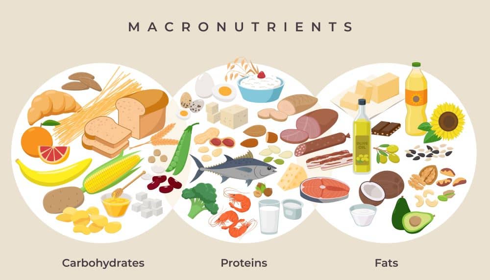 The nutrients that make up the food we eat are macronutrients.